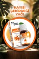 LOKMAN EFENDİ KAYISI ÇEKİRDEĞİ YAĞI 20 CC LOKMAN EFENDİ KAYISI ÇEKİRDEĞİ YAĞI 20 CC