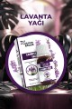 LOKMAN EFENDİ LAVANTA YAĞI 20 CC