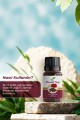 Karanfil Yağı 10 ml