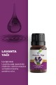 Lavanta Yağı 10 ml