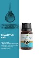 Okaliptus Yağı 10 ml
