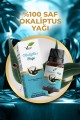 Okaliptus Yağı 10 ml