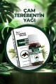 LOKMAN EFENDİ ÇAM TEREBENTİN YAĞI 20 CC
