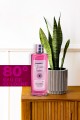 Elegance Kolonya 250 Ml