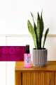 Va Cosmetıc Elegance Kolonya 50 ml Va Cosmetıc Elegance Kolonya 50 ml