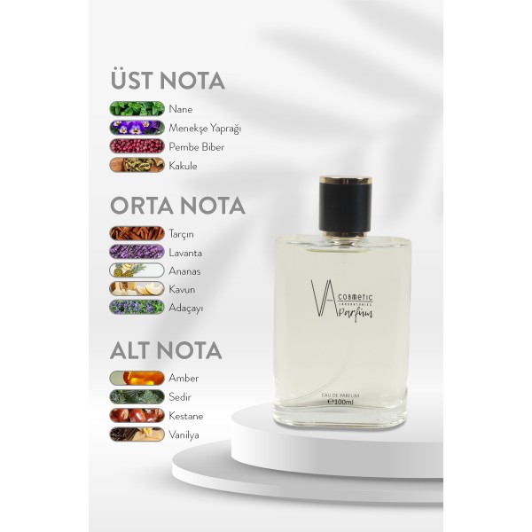 ERKEK PARFÜM E-009 100 ML EDP