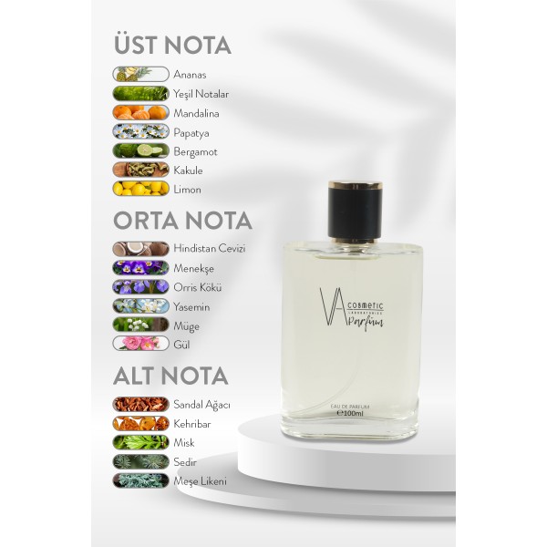 ERKEK PARFÜM E-010 100 ML EDP