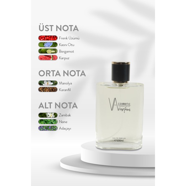 ERKEK PARFÜM E-011 100 ML EDP
