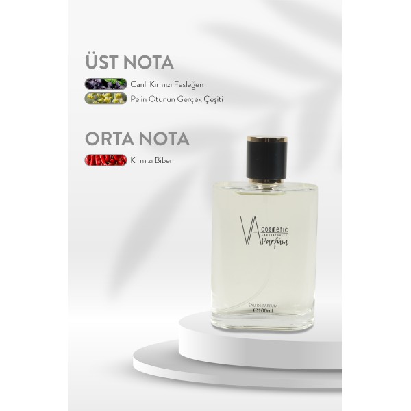 ERKEK PARFÜM E-019 100 ML EDP