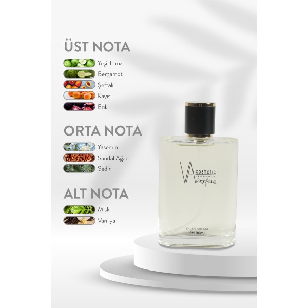 ERKEK PARFÜM E-018 100 ML EDP