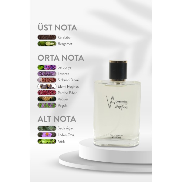 ERKEK PARFÜM E-008 100 ML EDP
