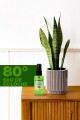 Grass Kolonya 50 Ml Grass Kolonya 50 Ml