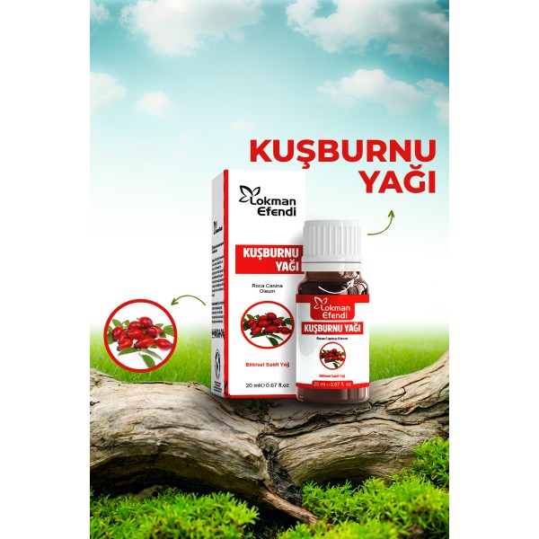 LOKMAN EFENDİ KUŞBURNU YAĞI 20 CC LOKMAN EFENDİ KUŞBURNU YAĞI 20 CC