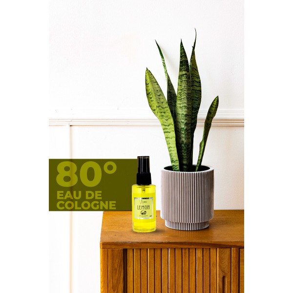Lemon Kolonyası 50 Ml Lemon Kolonyası 50 Ml