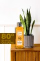 Mandarın Kolonya 250 ml Mandarın Kolonya 250 ml