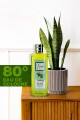 Olıve Kolonya 250 Ml Olıve Kolonya 250 Ml