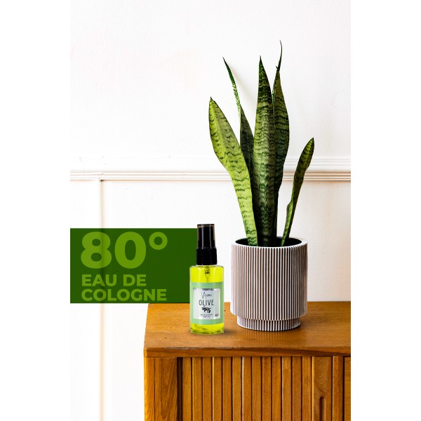Olıve Kolonya 50 Ml