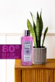 Remember Me Kolonya 250 Ml