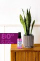 Remember Me Kolonya 50 Ml Remember Me Kolonya 50 Ml