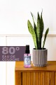 Vavs Kolonya 50 ml