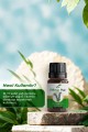 Biberiye Yağı 10 ml
