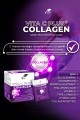 VHP COLLAGEN VITA C PLUS  TAKVİYE EDİCİ GIDA 100 G