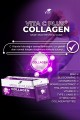 VHP VITA C PLUS COLLAGEN 300 G VHP VITA C PLUS COLLAGEN 300 G
