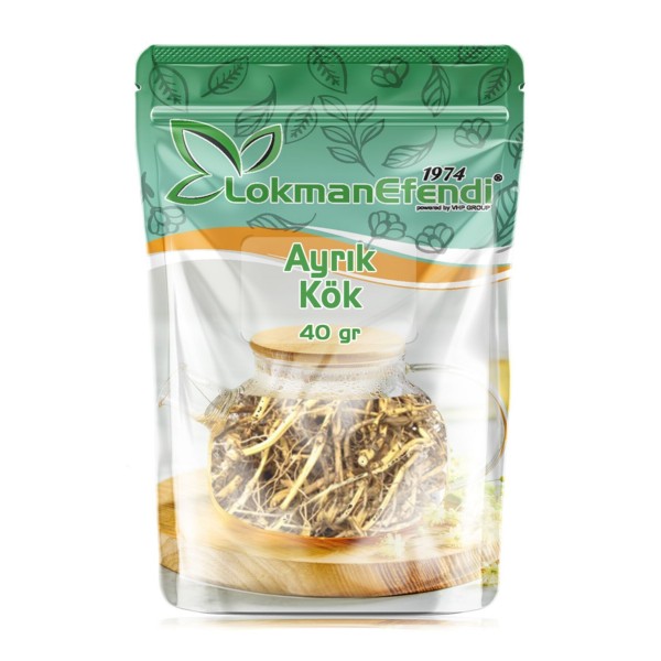 Lokman Efendi Ayrık Kökü