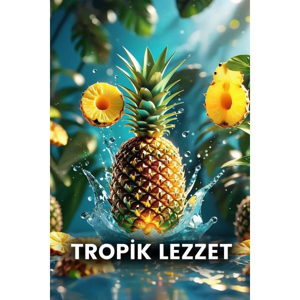 ANANAS SİRKESİ 500ML ANANAS SİRKESİ 500ML