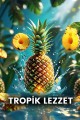 ANANAS SİRKESİ 500ML ANANAS SİRKESİ 500ML