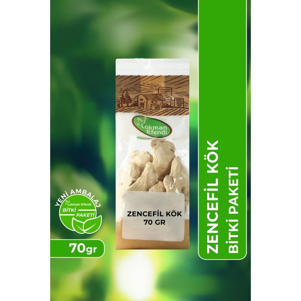 Vhp Zencefil Kök