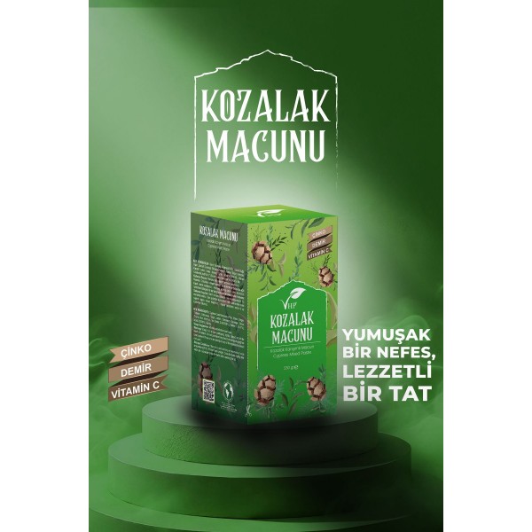 Kozalak Macunu 230 gr