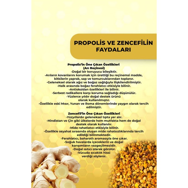 Propolisli Zencefilli Macun 230 gr