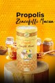 Propolisli Zencefilli Macun 400 gr Propolisli Zencefilli Macun 400 gr